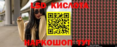 крисы Шахты