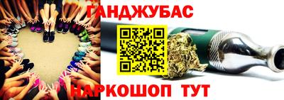 крисы Шахты