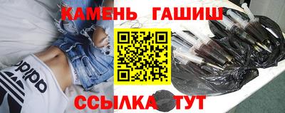 крисы Шахты
