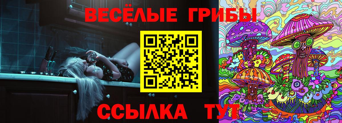 Псилоцибиновые грибы Psilocybine cubensis Полысаево