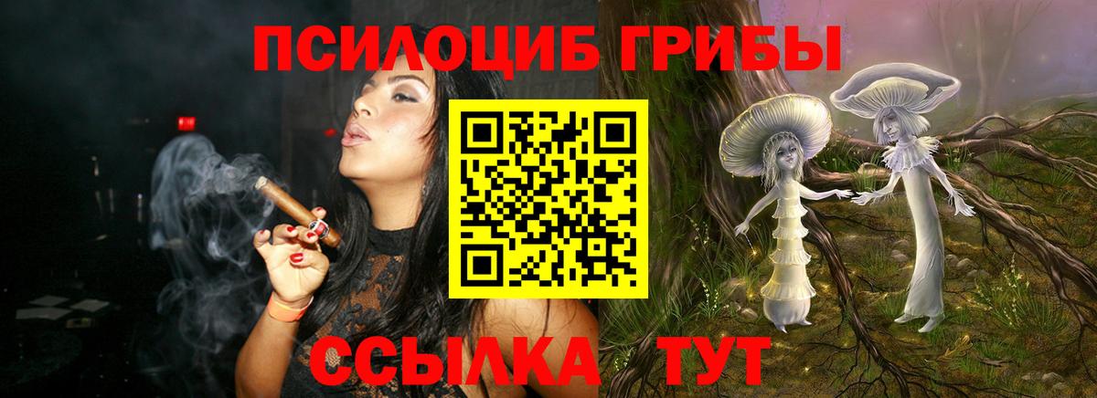 даркнет сайт  Галлюциногенные грибы MAGIC MUSHROOMS  Вход с VPN  Полысаево 